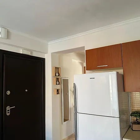 Artemis Apartament Néa Péramos